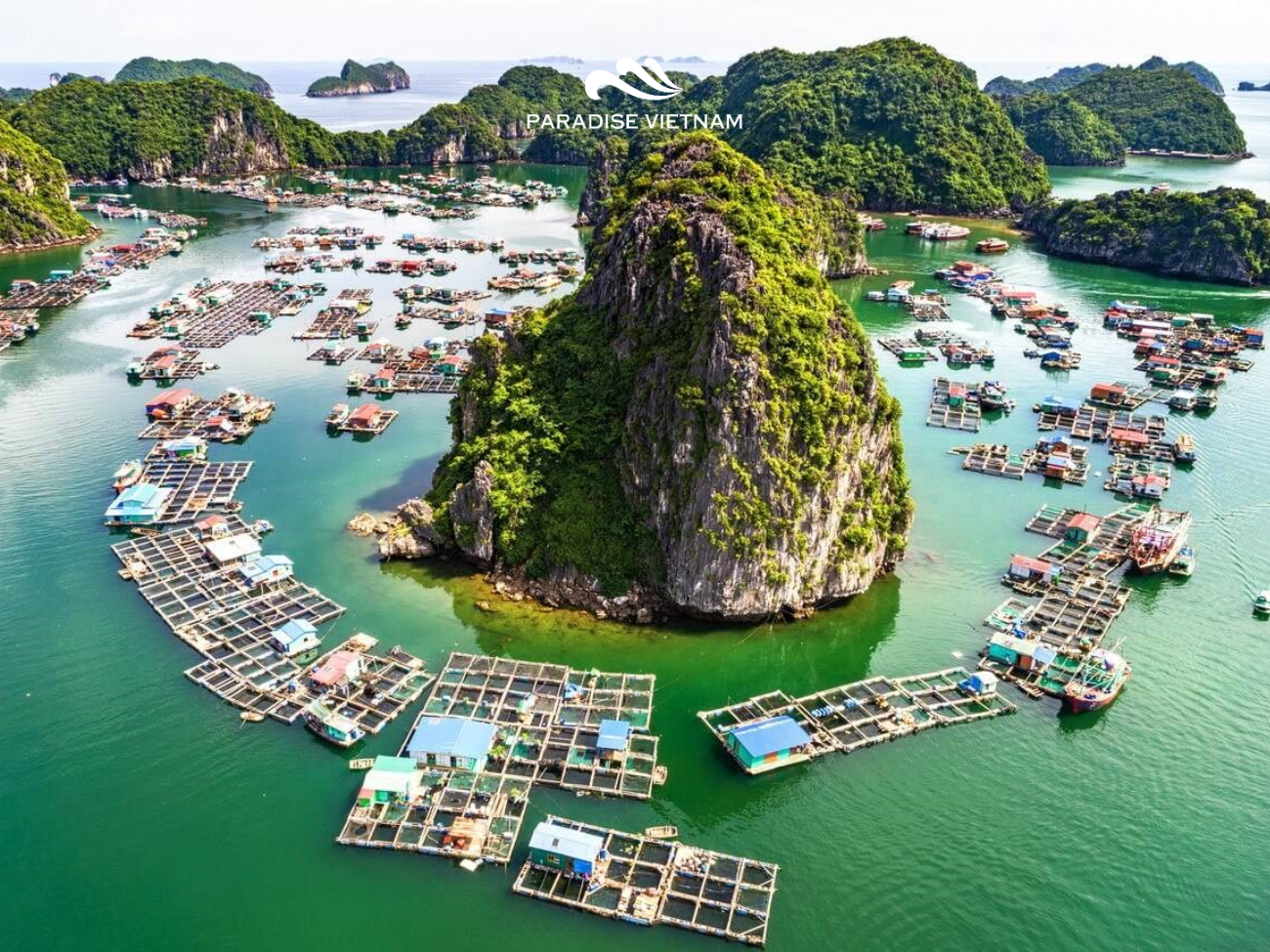 Cai Beo floating village