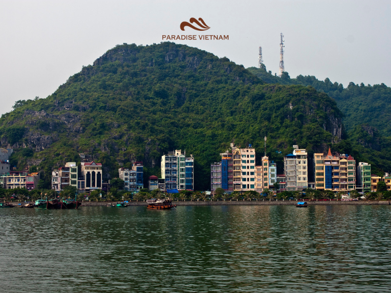 staying in cat ba town