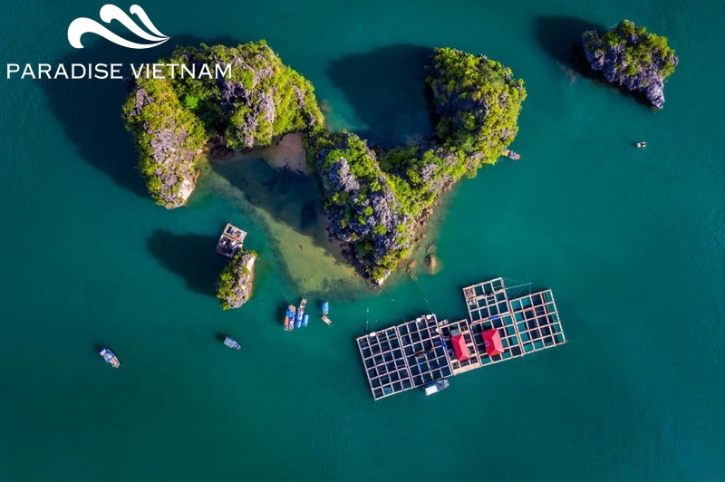 Cua Van Floating Village