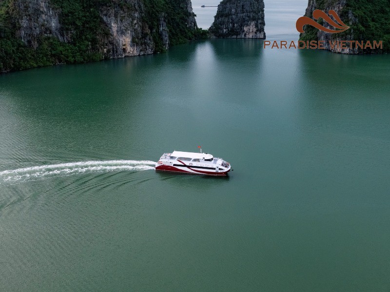 Ultimate guide to Cat Ba Ferry: Routes, schedules, and tips for a seamless island adventure