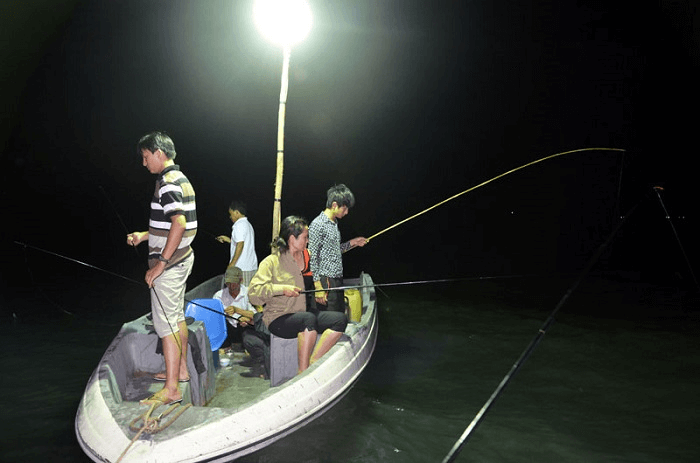 A Cat Ba fishing tour offers several unique advantages over traditional fishing experiences.