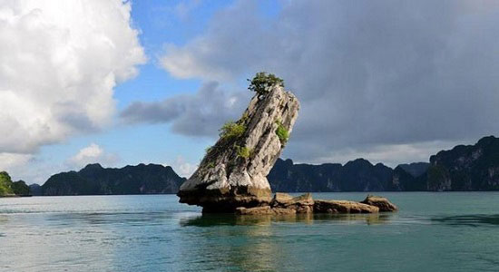 Con Coc Islet of HaLong Bay