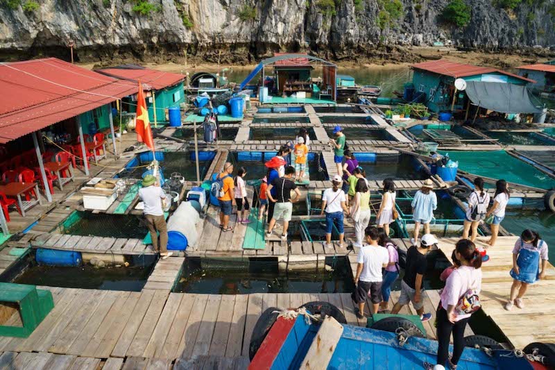 Cai Beo Fishing Village in Lan Ha Bay
