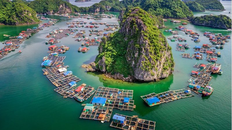 The Halong Bay's Cultural Values