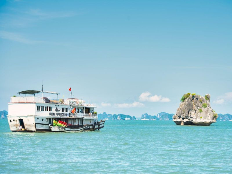 Ha Long Bay's Iconic Symbol: The Legendary Fighting Cock Islet