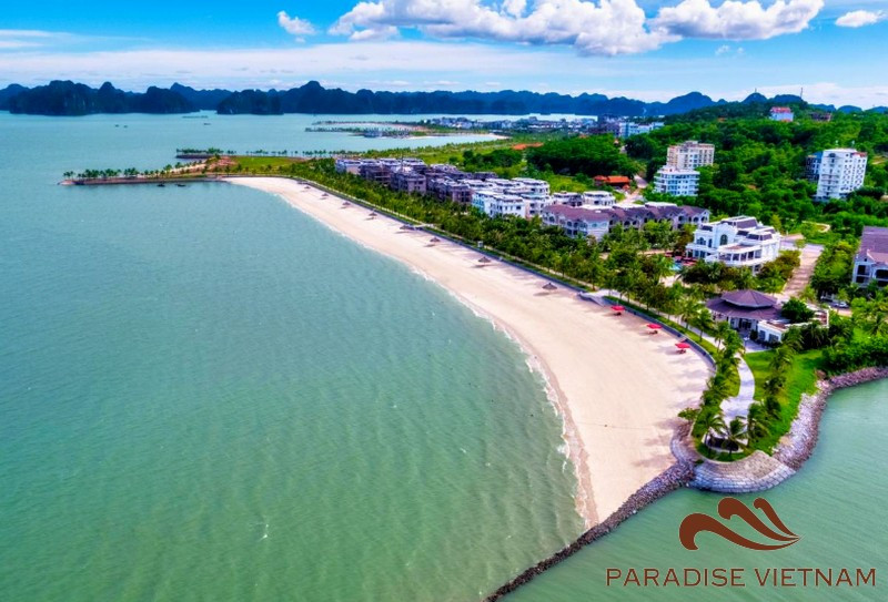 Paradise Suites hotel, right by the sea, promises you a stay that's all about comfort and peace. 