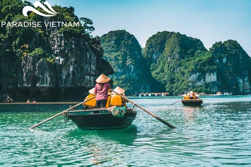 Try a good service tour in Halong Bay 