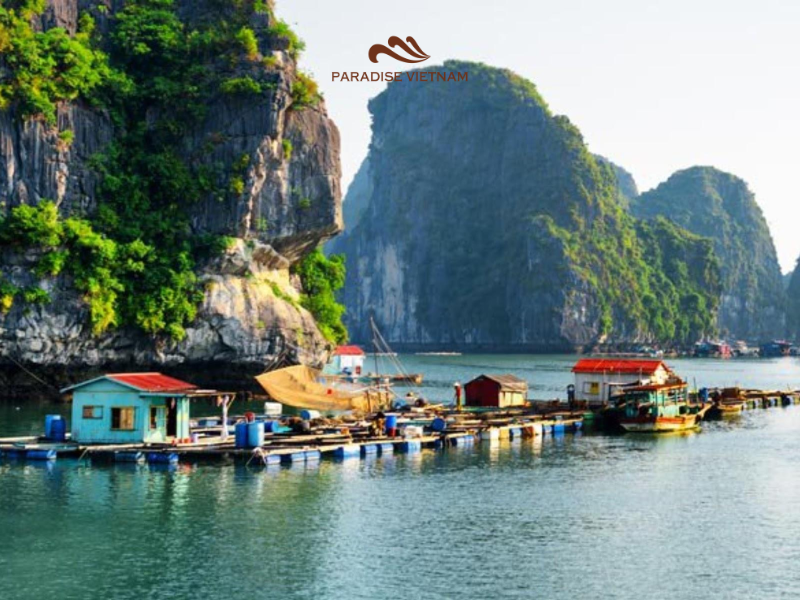 Kayaking at Cong Do Area offers a more nature-focused paddling experience