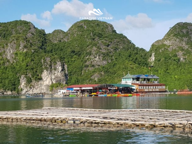 Kayaking around Tung Sau Pearl Farm combines natural scenery with cultural insight