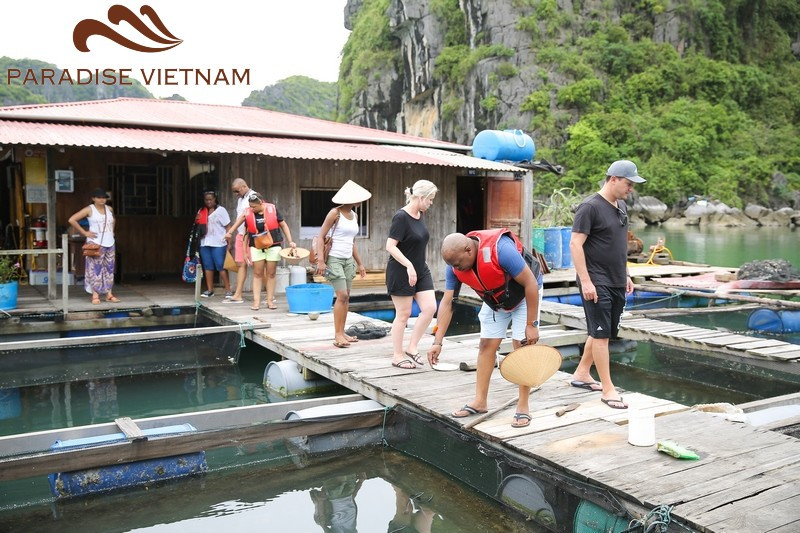 Top amazing thing to do in Halong Pearl Farm Village