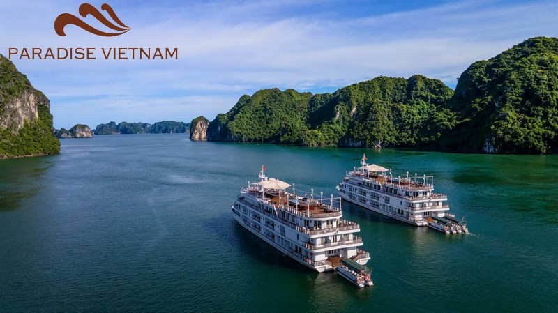 Paradise Vietnam's Cruise Ships